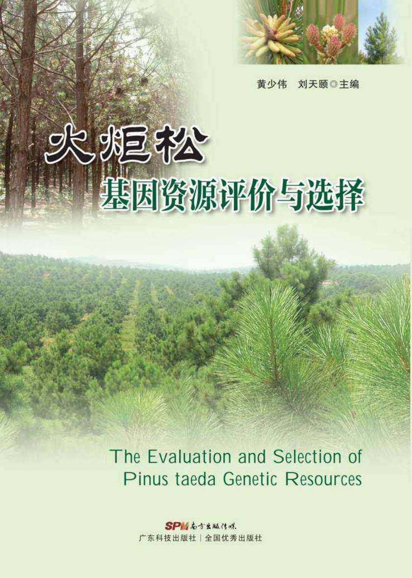 火炬松基因资源评价与选择
