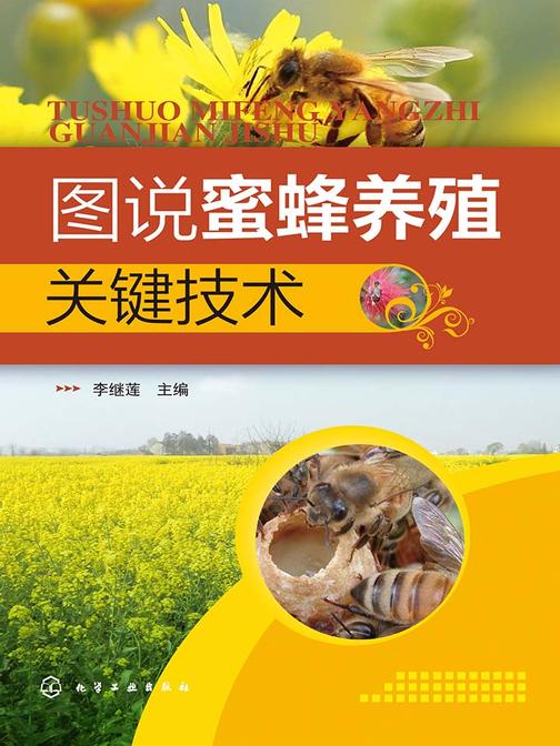 图说蜜蜂养殖关键技术