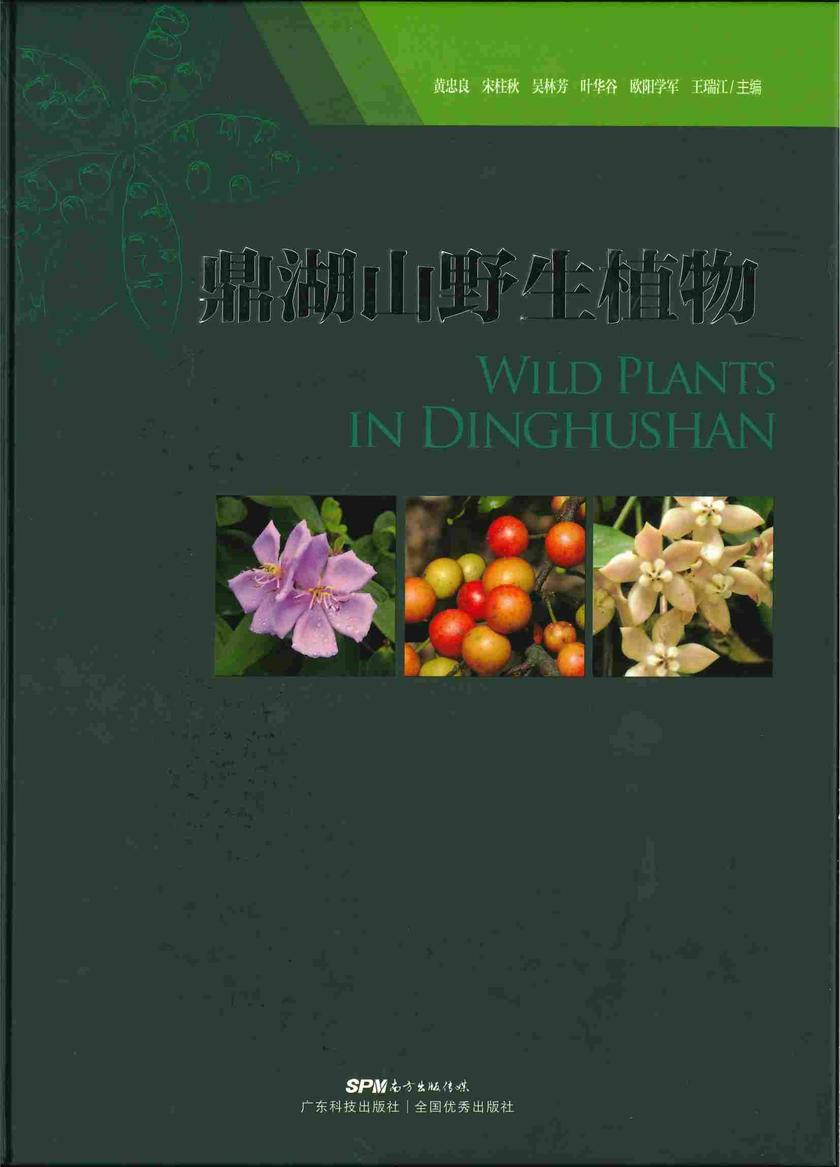 鼎湖山野生植物