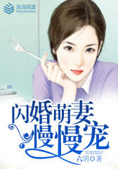 闪婚萌妻慢慢宠