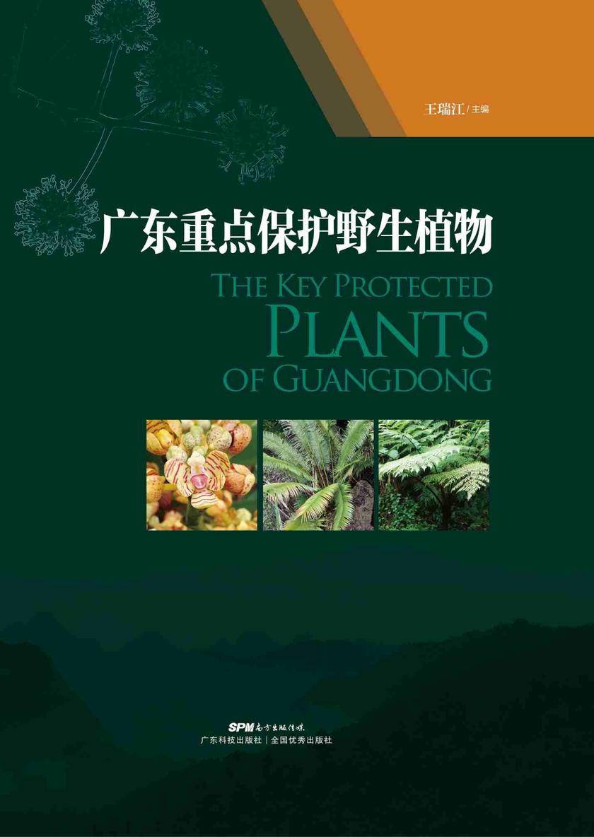 广东重点保护野生植物