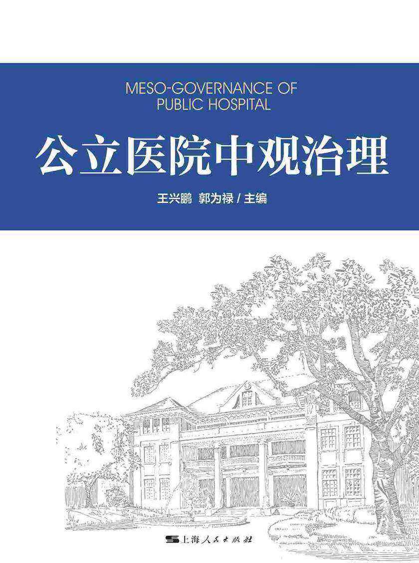 公立医院中观治理