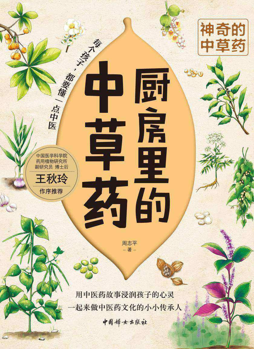 厨房里的中草药