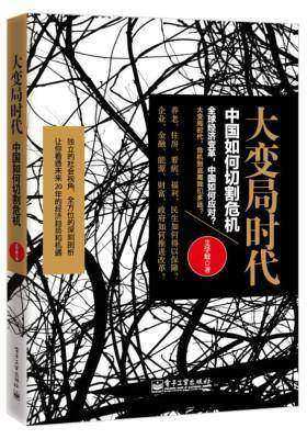大变局时代:中国如何切割危机(试读本)