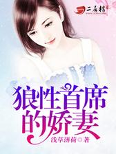 狼性首席的娇妻