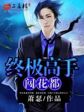 终极高手闯花都