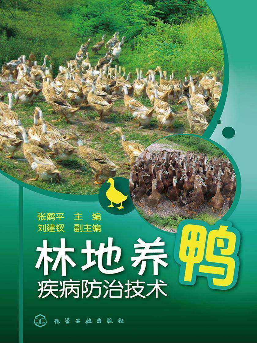林地养鸭疾病防治技术