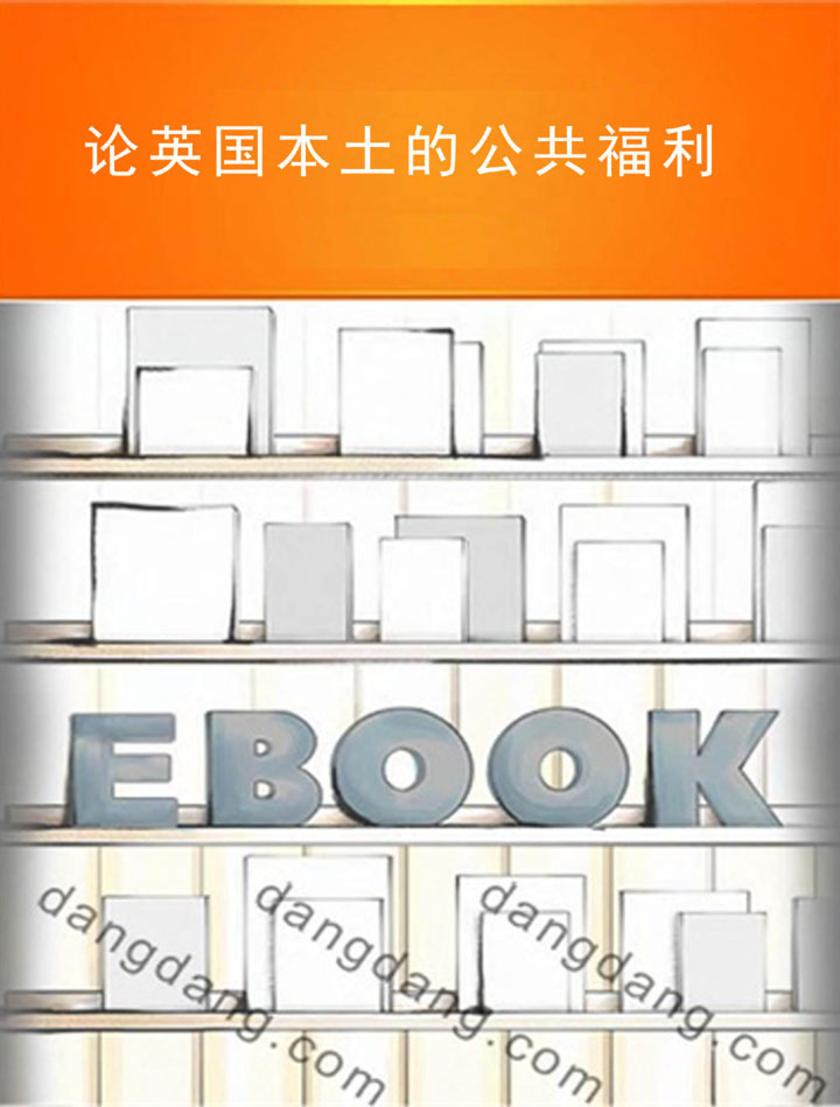 论英国本土的公共福利
