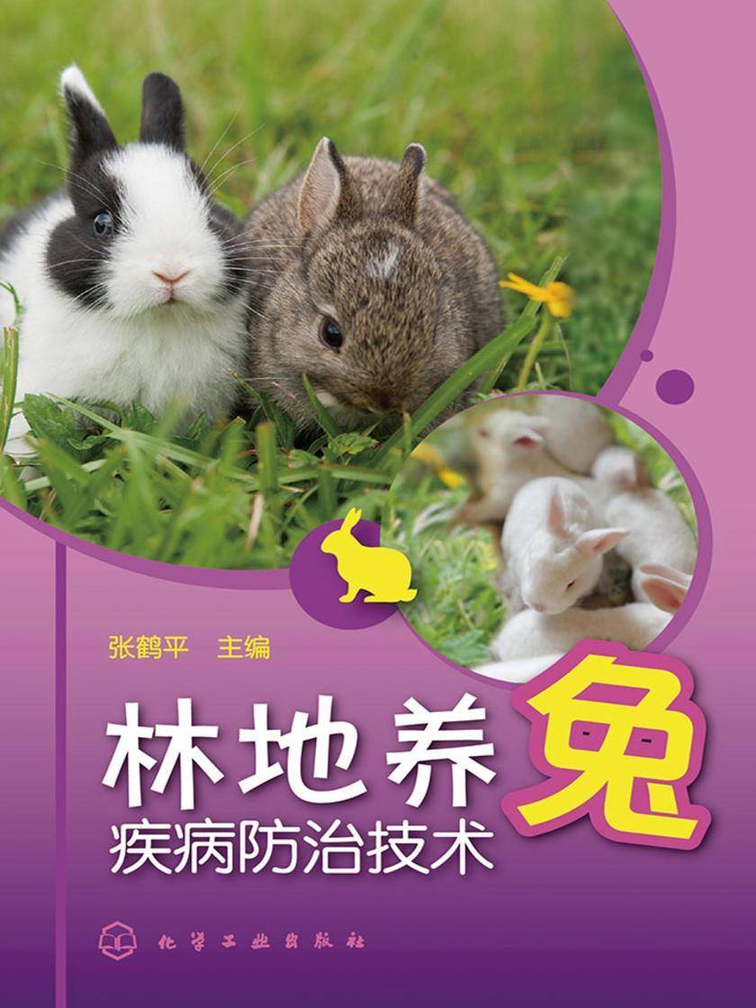 林地养兔疾病防治技术