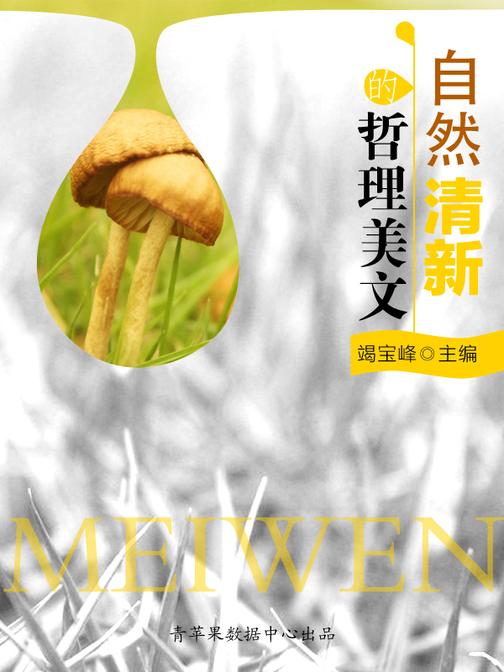 自然清新的哲理美文
