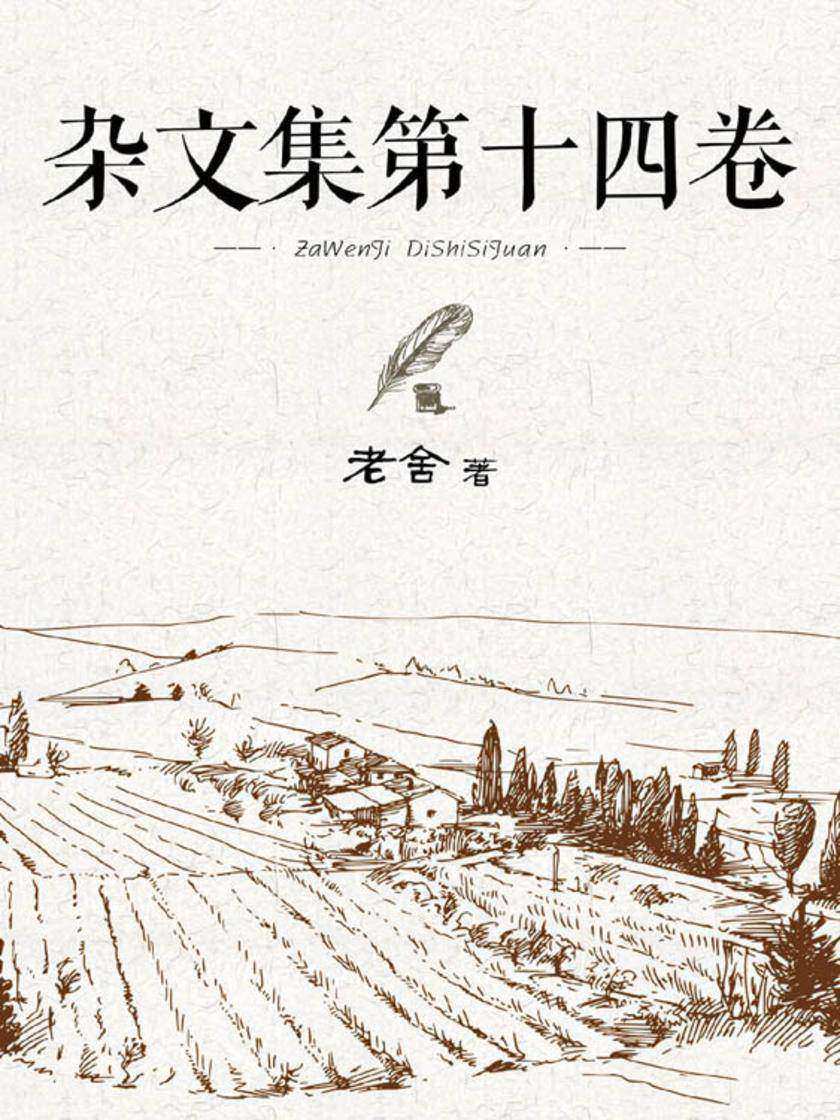 杂文集第十四卷