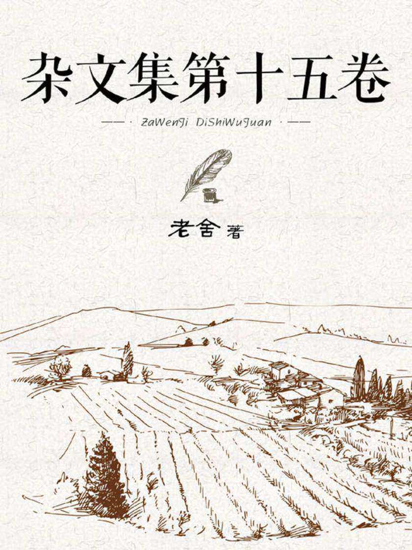 杂文集第十五卷