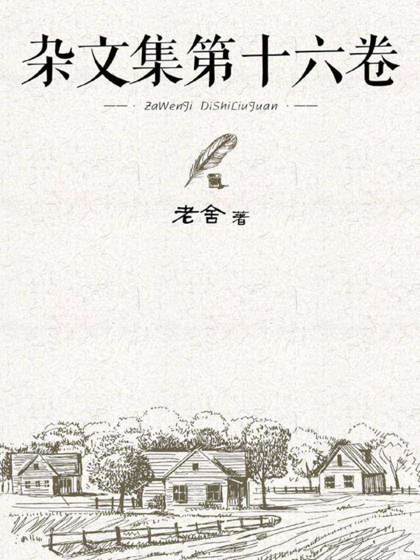 杂文集第十六卷