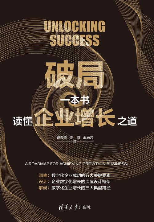破局:一本书读懂企业增长之道