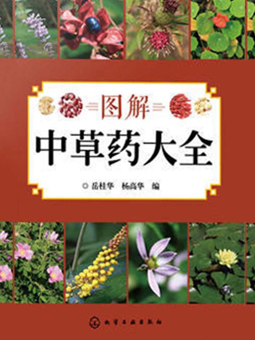 图解中草药大全