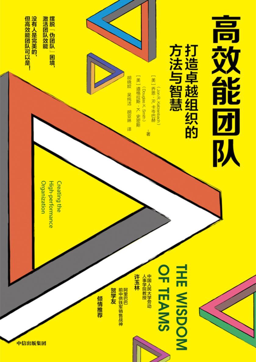 高效能团队:打造卓越组织的方法与智慧