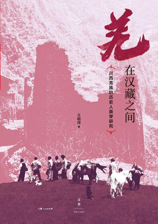 羌在汉藏之间:川西羌族的历史人类学研究