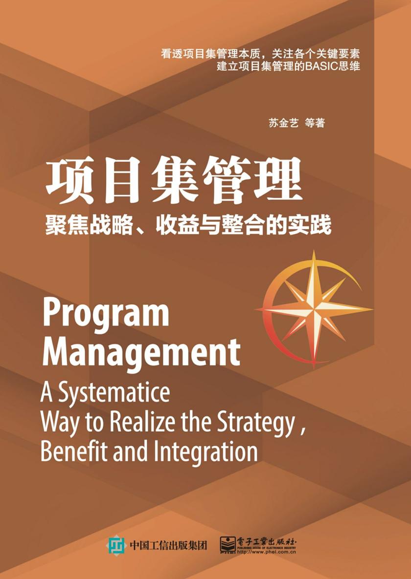 项目集管理 聚焦战略、收益与整合的实践