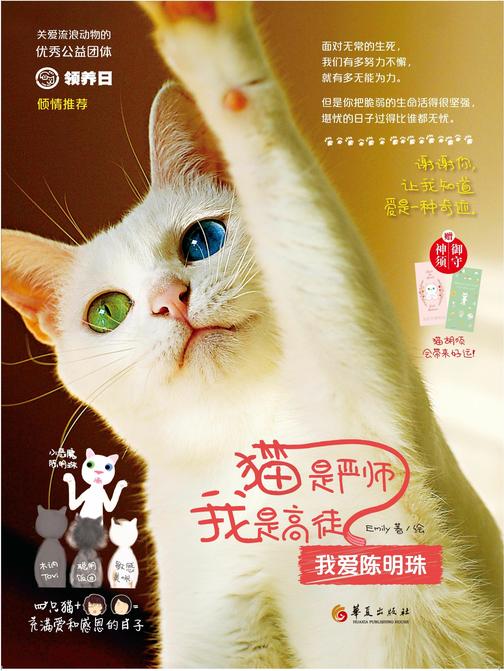 猫是严师，我是高徒：我爱陈明珠