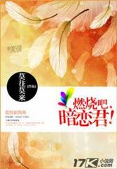 燃烧吧，暗恋君！