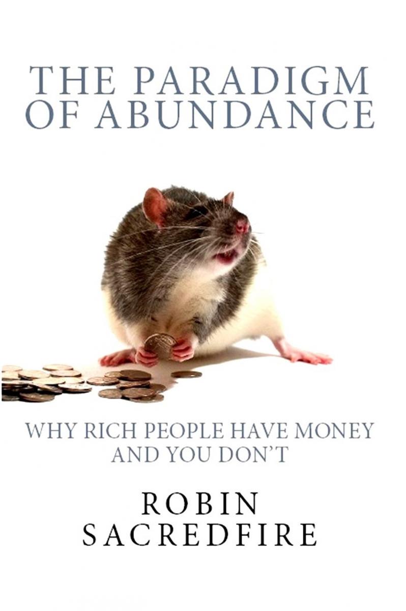 The Paradigm of Abundance: Why Rich People Have Money and You Don't
