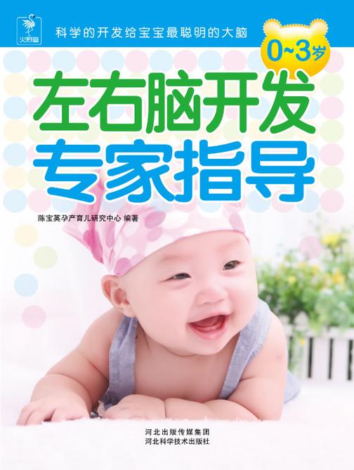 0~3岁左右脑开发专家指导