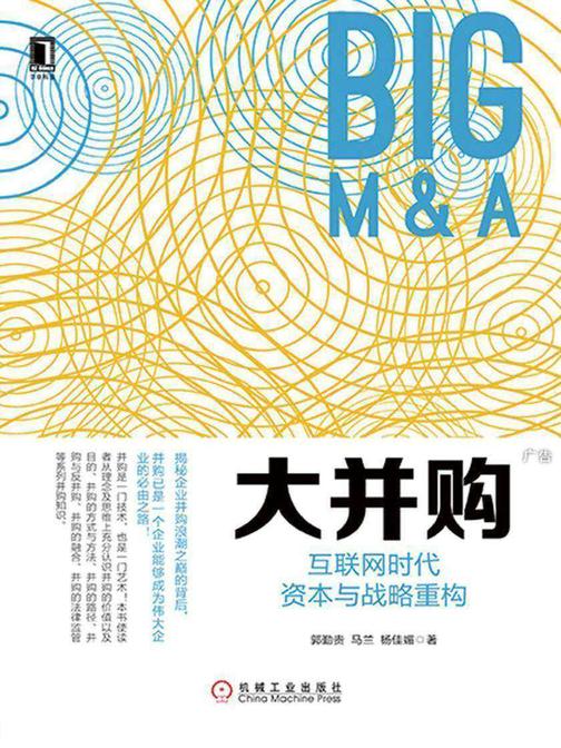 大并购:互联网时代资本与战略重构
