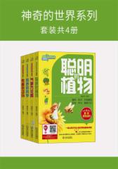 神奇的世界系列(套装共4册)