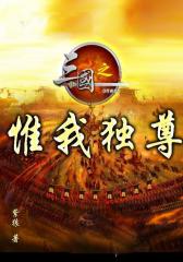三国之惟我独尊13