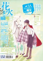 花火A-2011-12期(电子杂志)