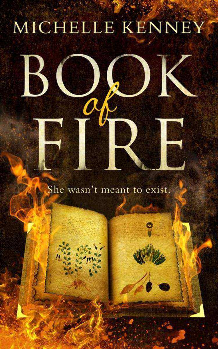 Book of Fire: a debut fantasy perfect for fans of The Hunger Games, Divergent an