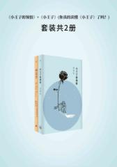 小王子+小王子的领悟(《小王子》的理想译本和解读本 共二册)