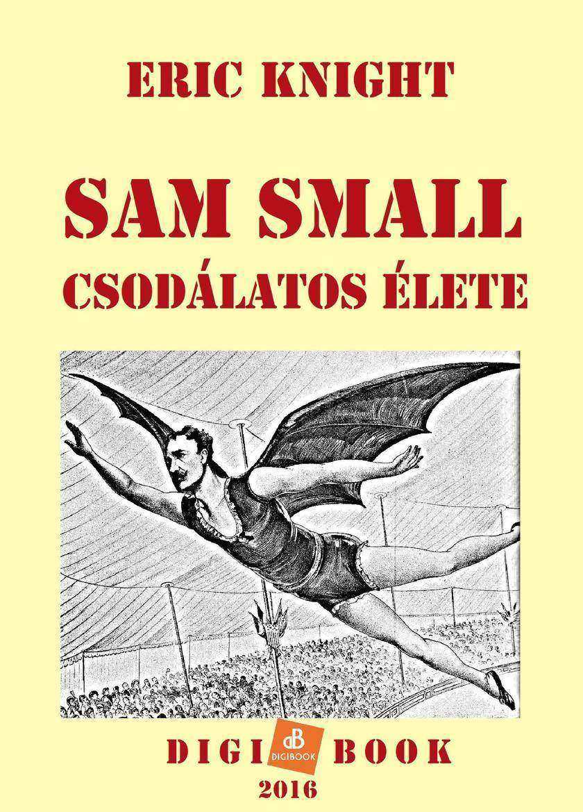 Sam Small csodálatos élete