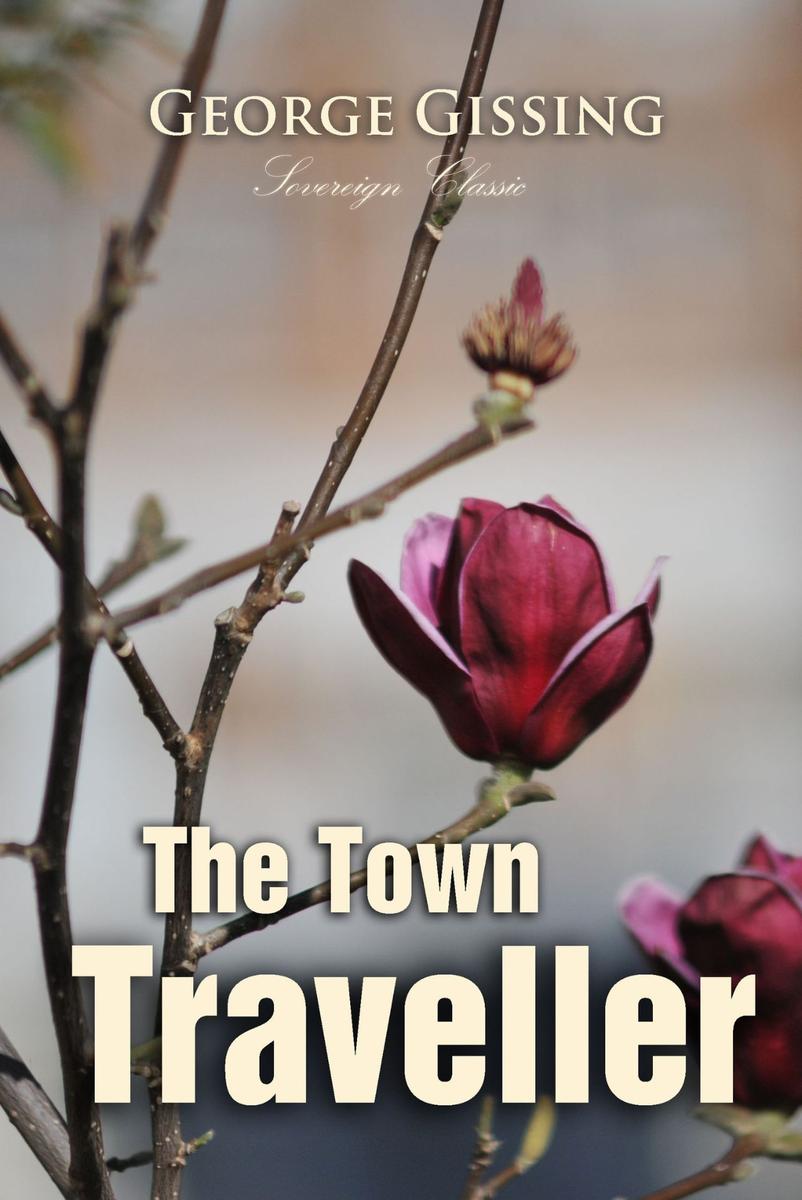 The Town Traveller