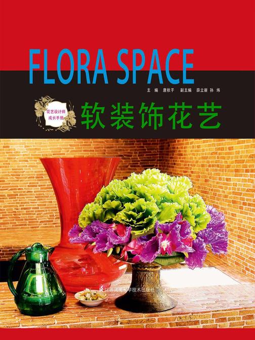 软装饰花艺