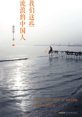 我们这些流浪的中国人