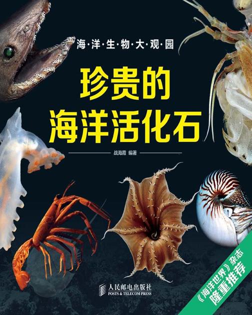 珍贵的海洋活化石