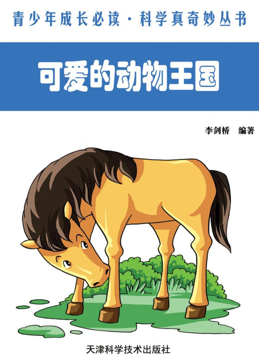 可爱的动物王国
