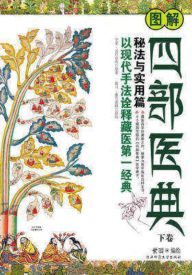 图解四部医典.秘法与实用篇(仅适用PC阅读)