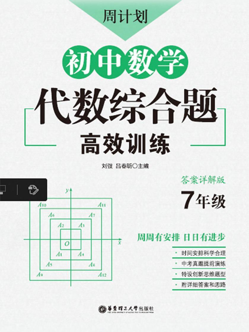 周计划：初中数学代数综合题高效训练(7年级)