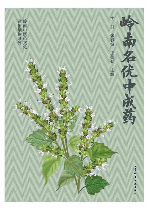 岭南中医药文化通俗读物系列--岭南名优中成药