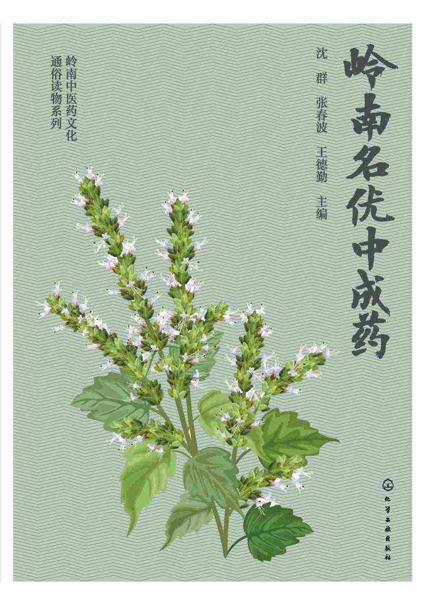 岭南中医药文化通俗读物系列--岭南名优中成药