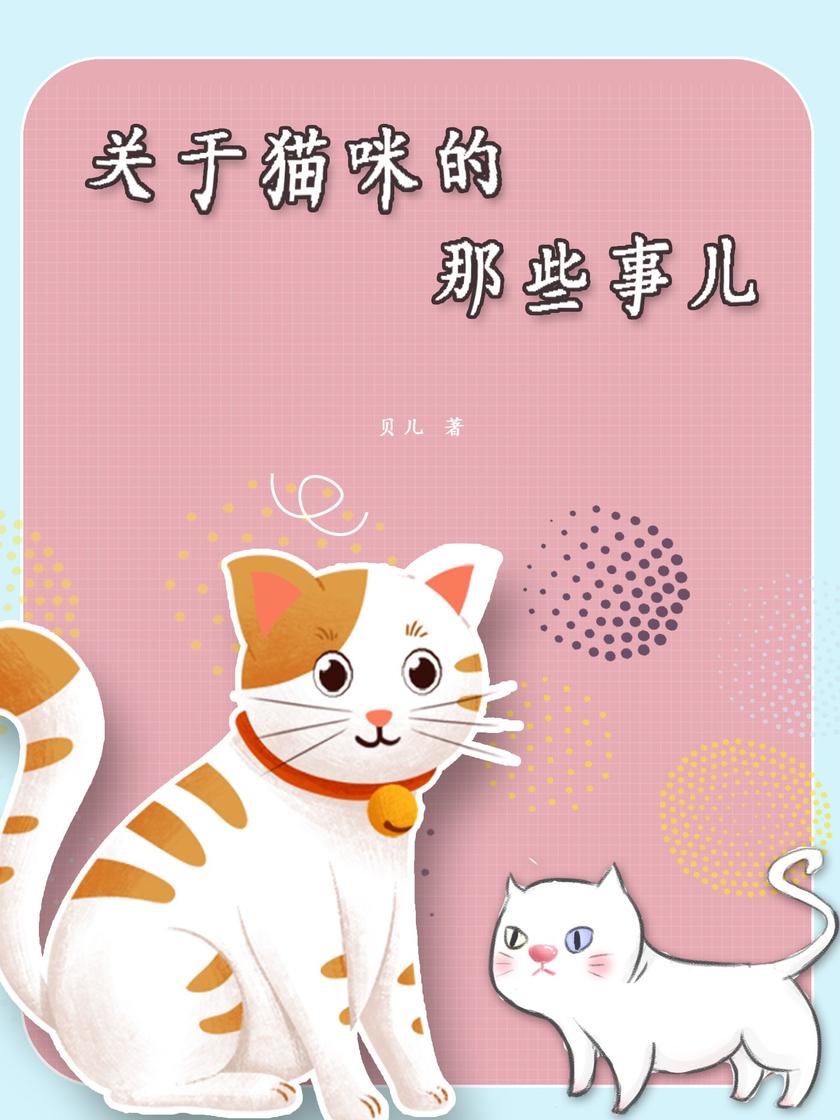 关于猫咪的那些事儿