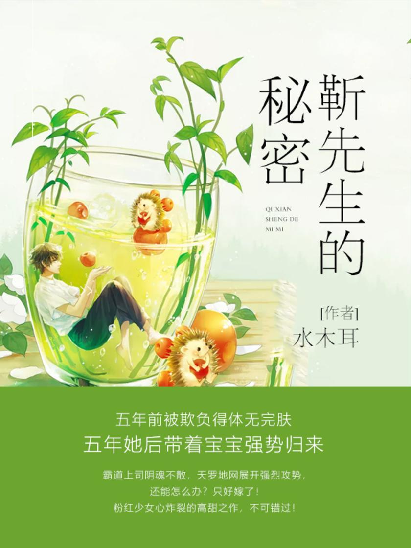 靳先生的秘密【五年前被欺负得体无完肤，五年她后带着宝宝强势归来】