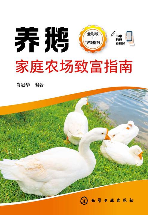 养鹅家庭农场致富指南