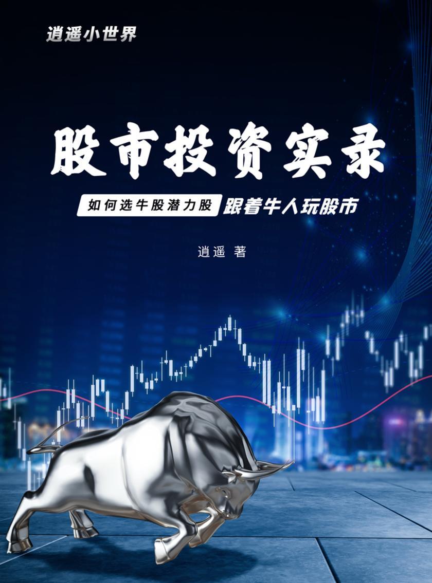 逍遥小世界:股市投资实录