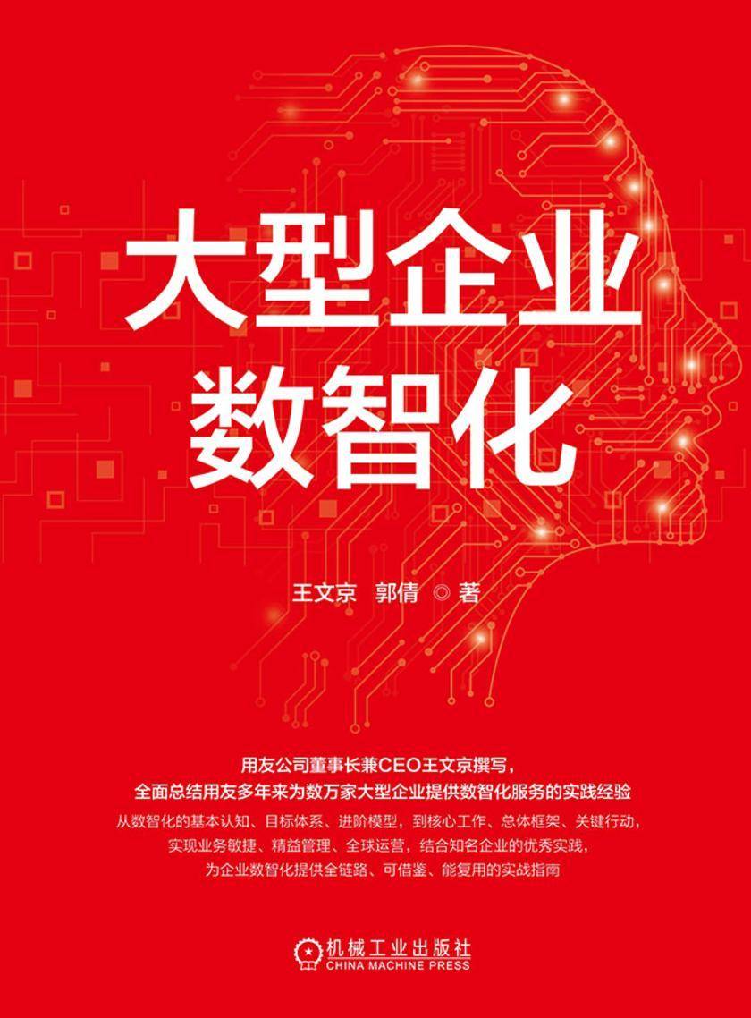 大型企业数智化