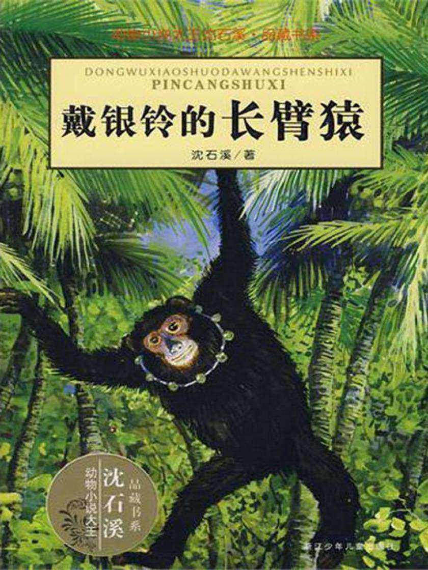戴银铃的长臂猿(动物小说大王沈石溪·品藏书系)
