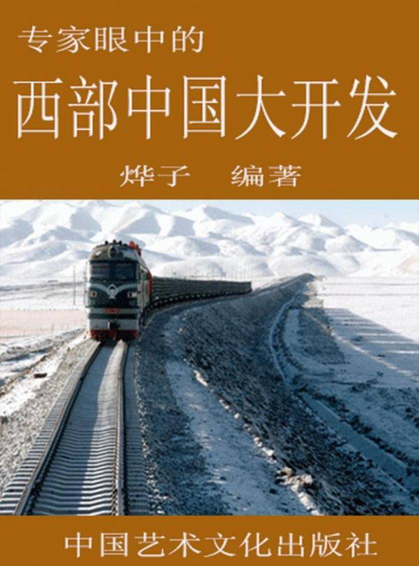 专家眼中的西部中国大开发