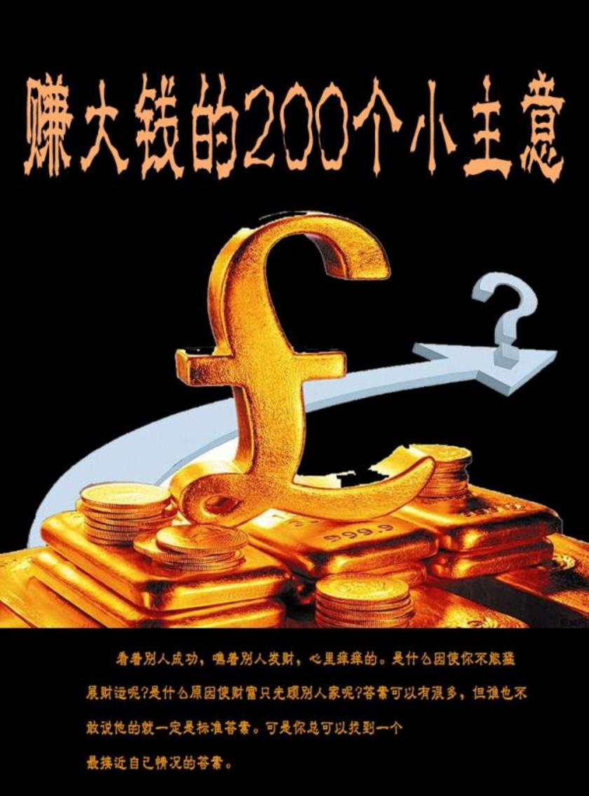 赚大钱的200个小主意